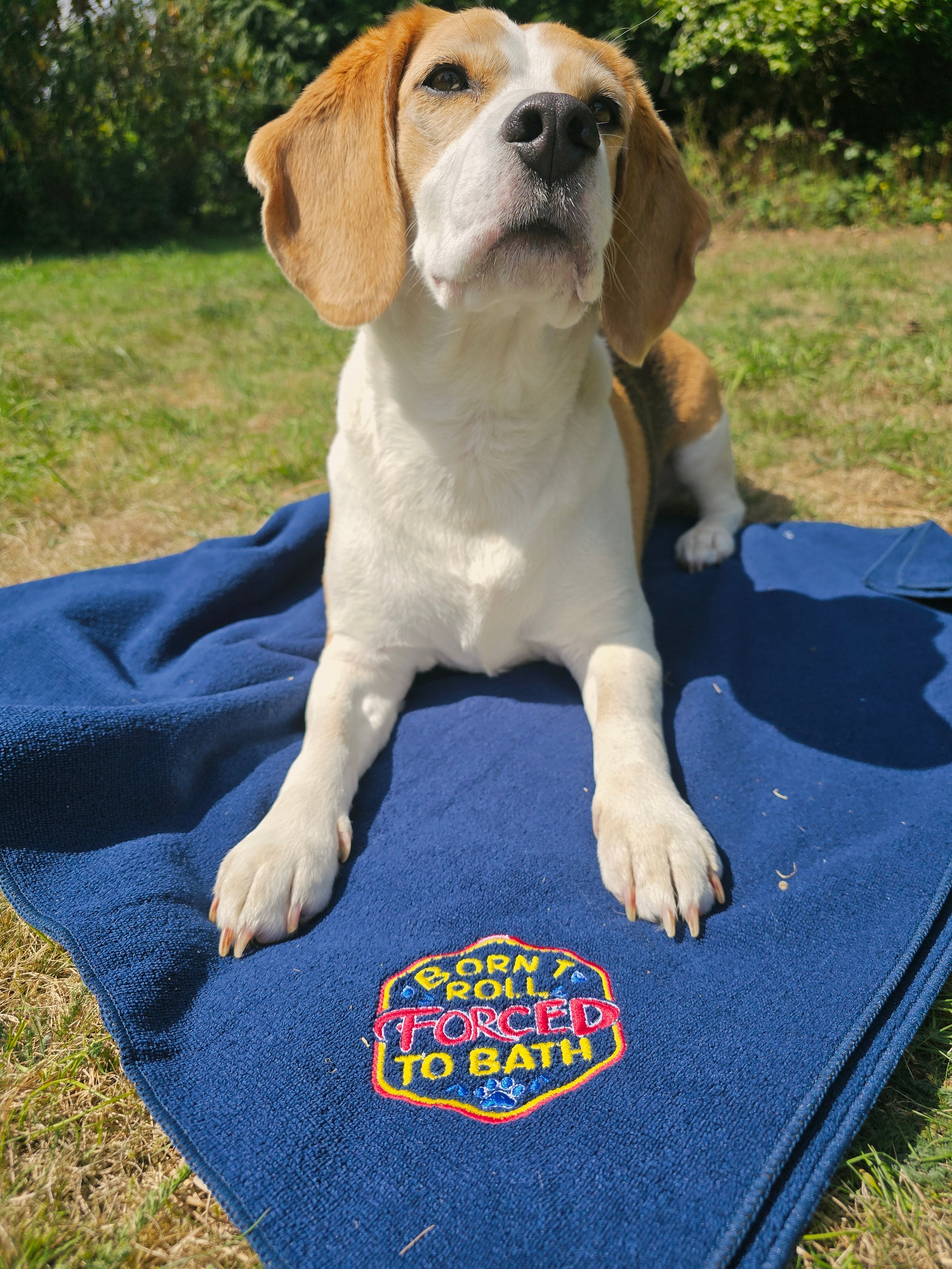Born to Roll, Forced to Bath!