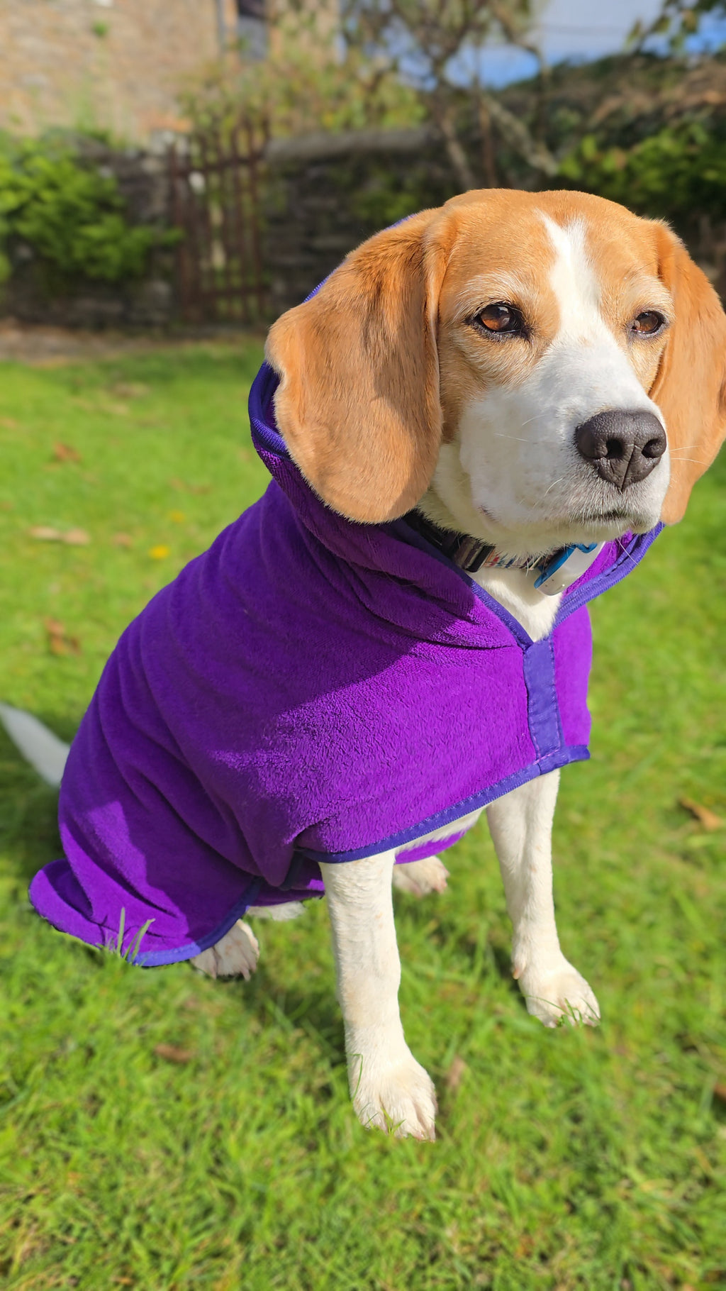 Groomit drying jacket