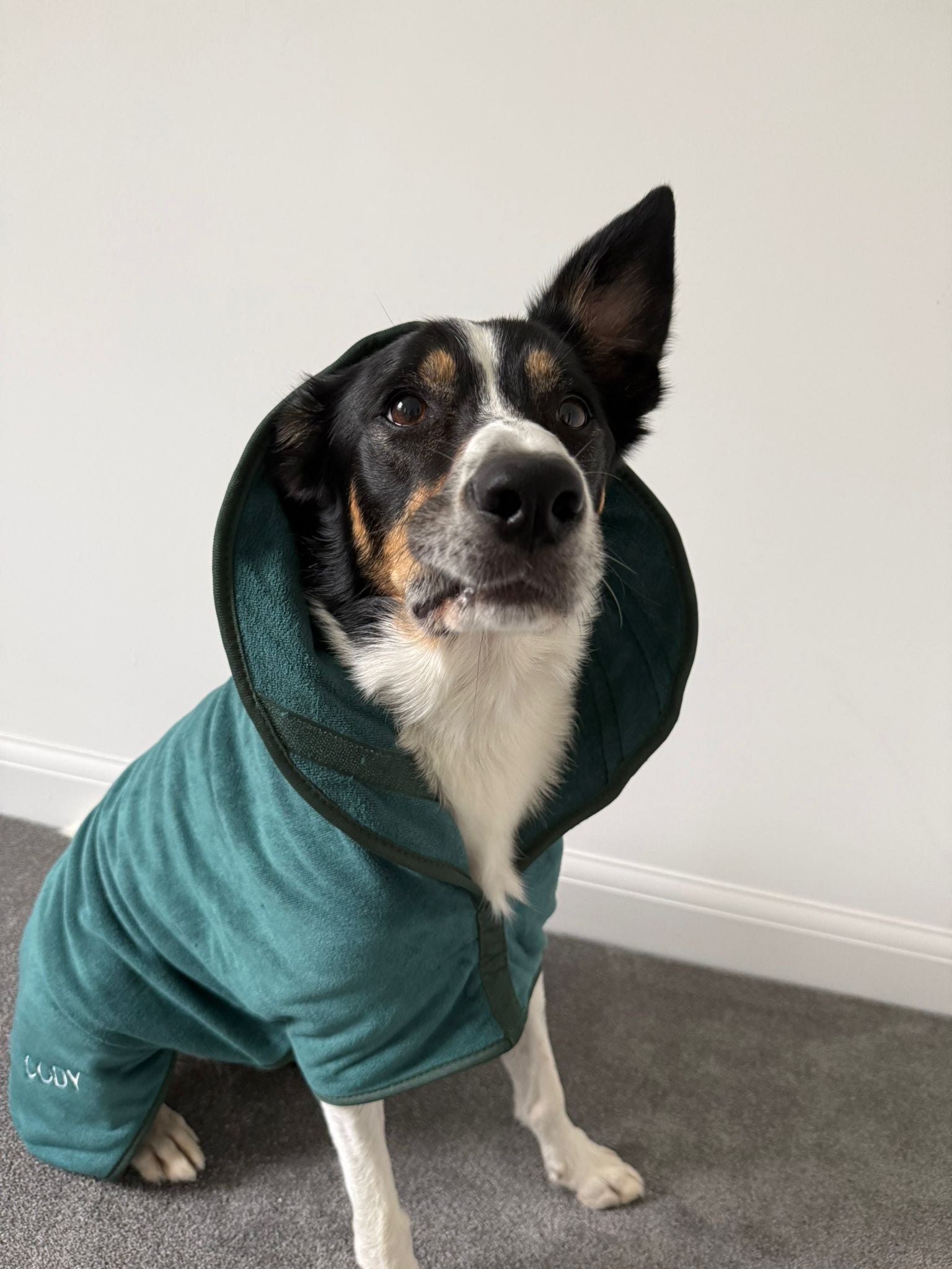 Groomit drying jacket