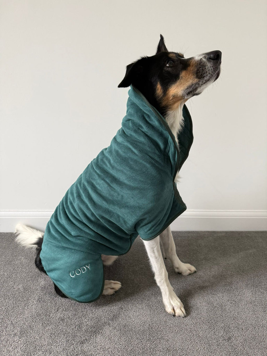Groomit drying jacket