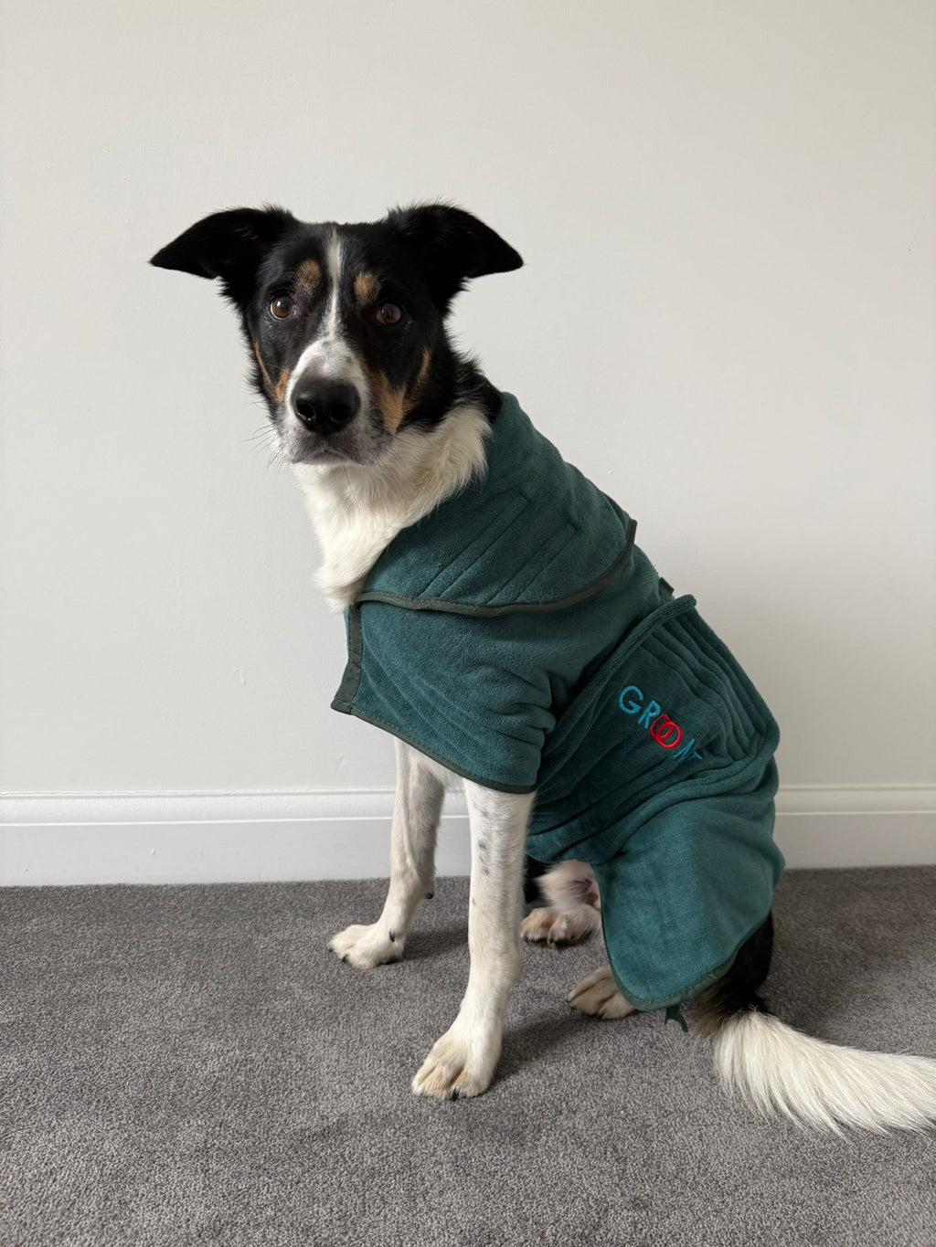 Groomit drying jacket